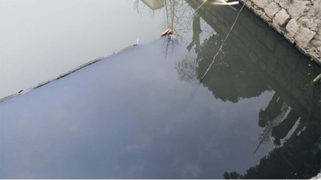 「黑臭河道水體治理」 城市黑臭水體對老百姓的影響-必源環保